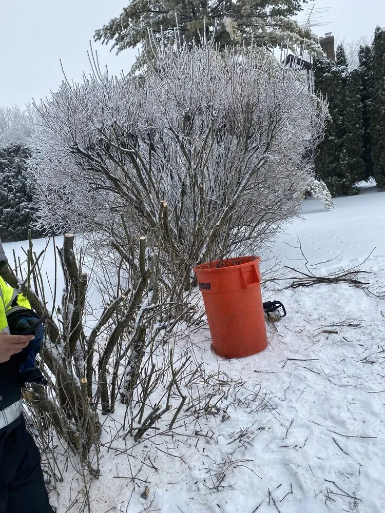 Reliable garden landscaping in Harvard, IL - Pretty Stone Landscaping and Design