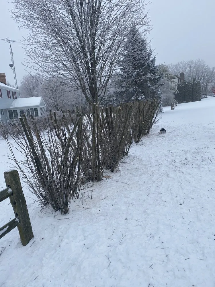 Custom landscape design with custom design in Harvard, IL by Pretty Stone Landscaping and Design