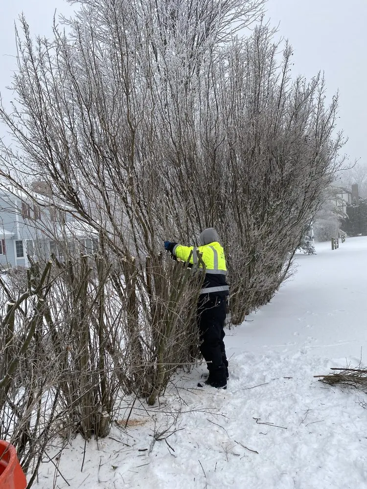 Trusted lawn mowing service in Harvard, IL - Pretty Stone Landscaping and Design