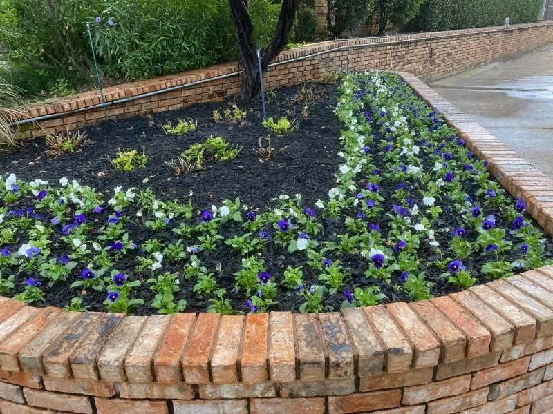 Top-rated landscape installation for outdoor upgrades across Fort Worth, TX - Pretty View Lawn Care & Landscaping