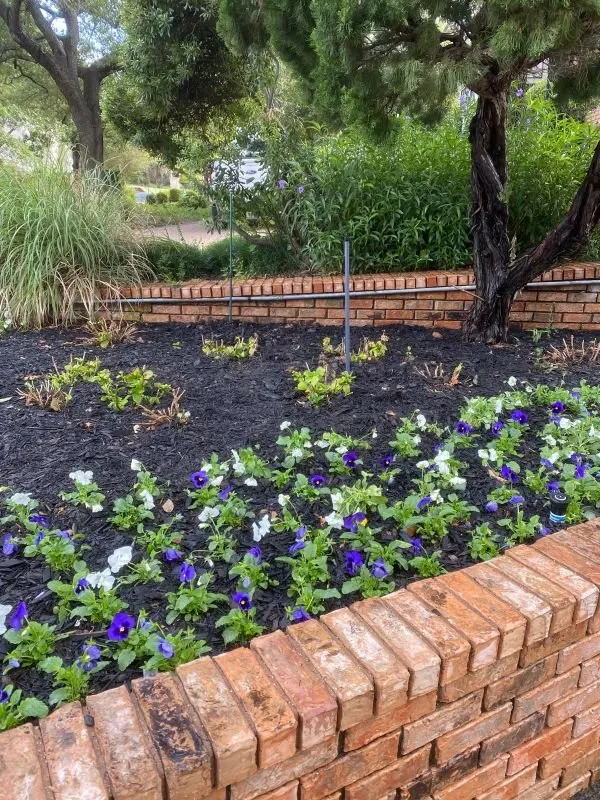 Reliable garden landscaping in Fort Worth, TX by Pretty View Lawn Care & Landscaping