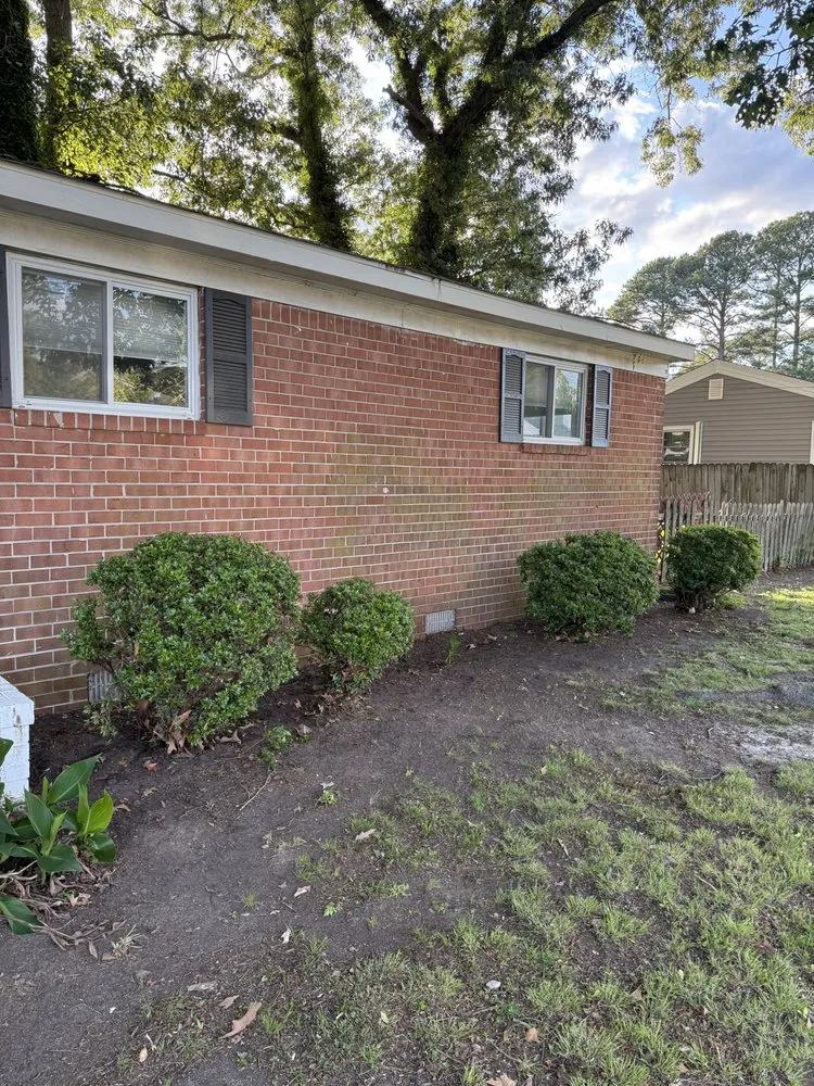 Expert yard cleanup service experts serving Suffolk, VA - Prevatte Landscaping