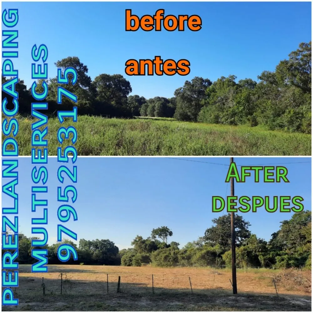 Trusted landscape design in Bellville, TX by Pérez Landscaping Multi Services