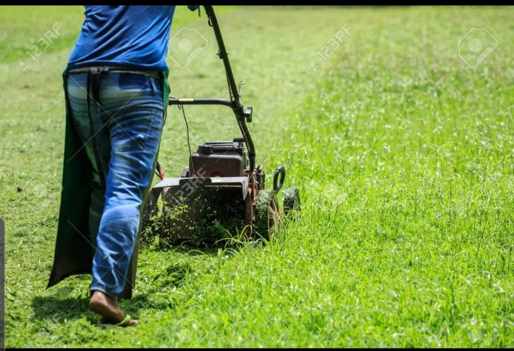 Affordable outdoor landscaping in Bellville, TX by Pérez Landscaping Multi Services