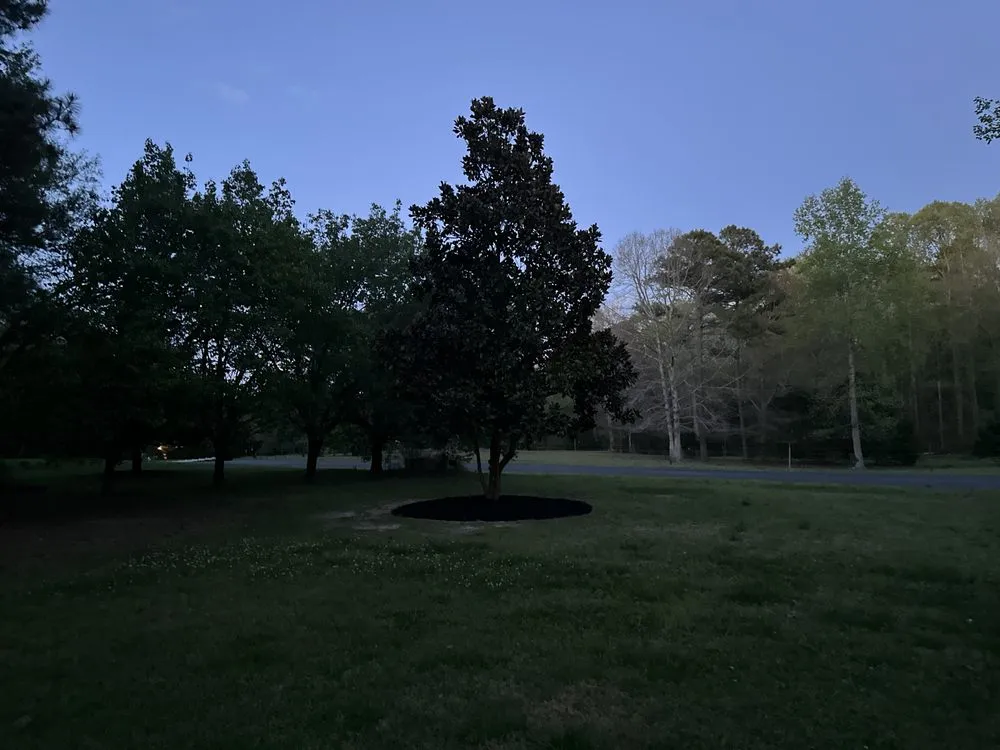 Affordable yard cleanup service in Spring Hope, NC - Pérez Landscaping