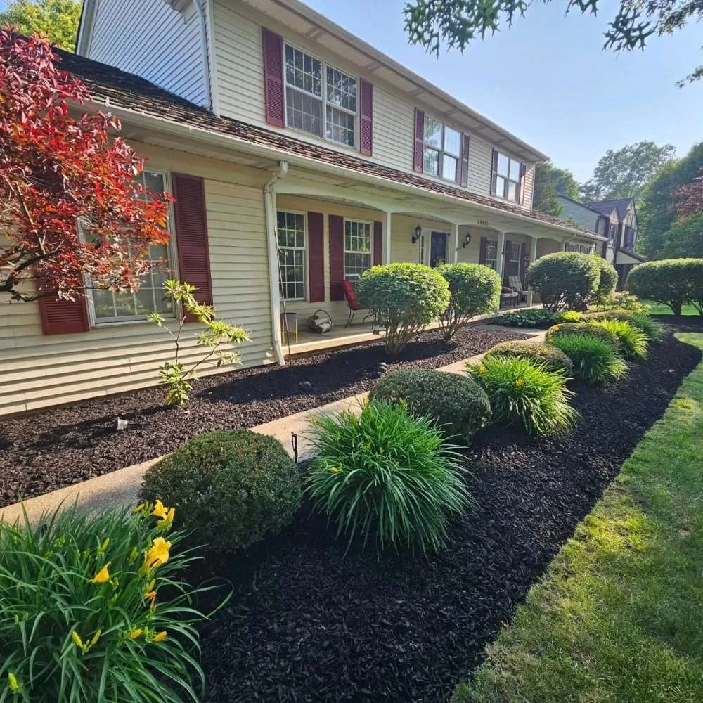 Trusted yard cleanup service in Painesville, OH by Preza landscaping