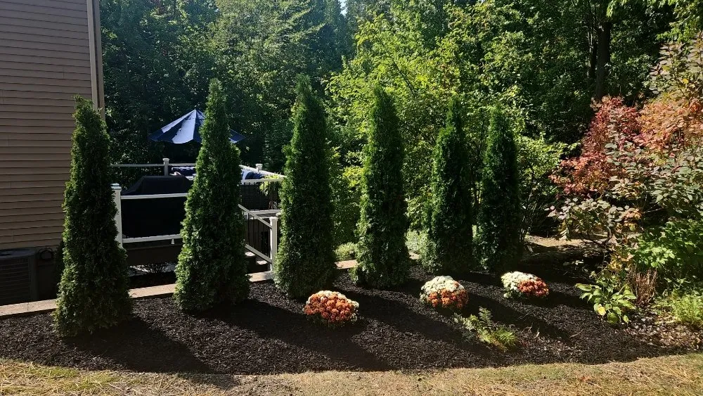 Reliable yard maintenance experts serving Painesville, OH - Preza landscaping