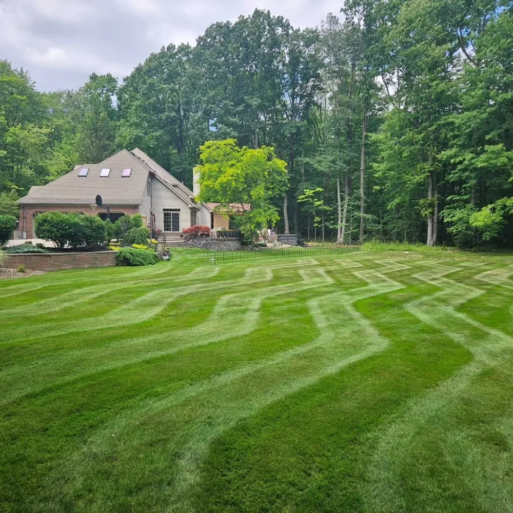 Professional yard cleanup service for year-round maintenance across Painesville, OH - Preza landscaping