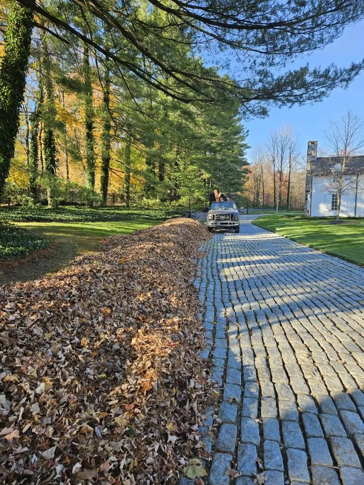 Affordable landscaping services experts serving Painesville, OH - Preza landscaping