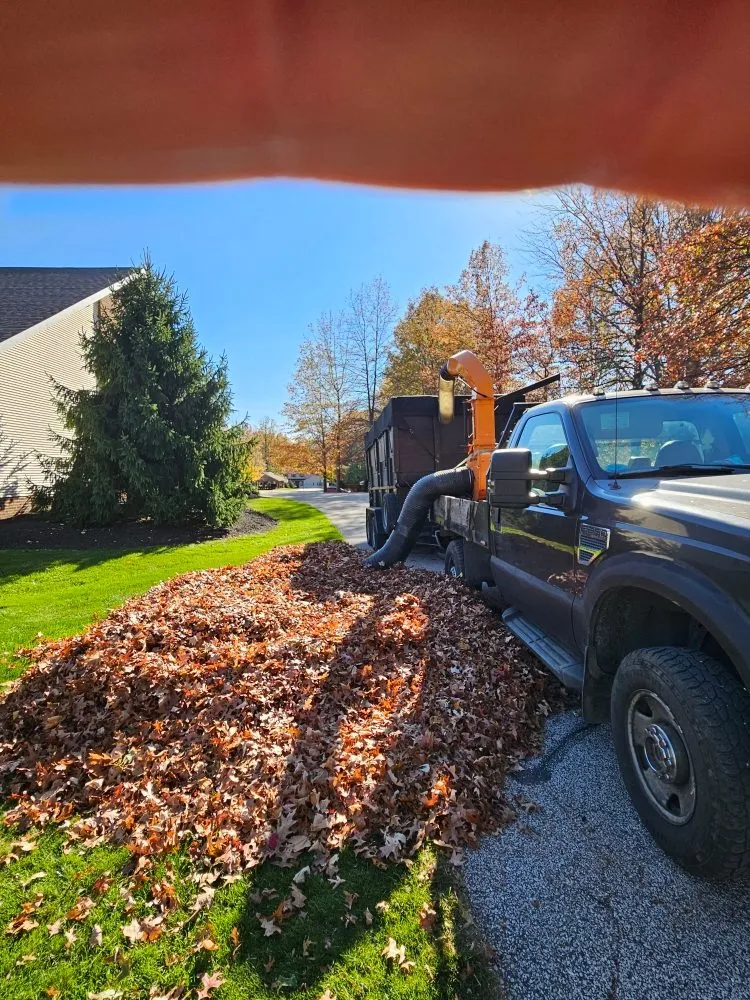 Affordable lawn care service experts serving Painesville, OH - Preza landscaping