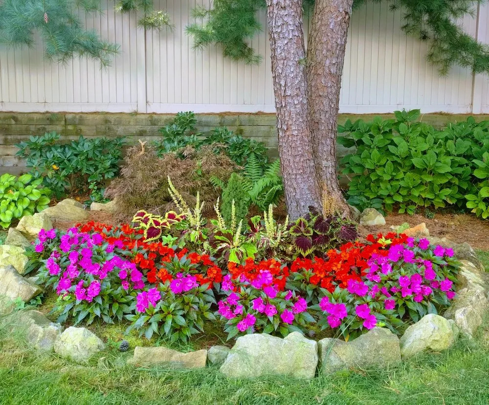 Top-rated landscaping services for outdoor upgrades in Dix Hills, NY by Prianti Farms, Inc.