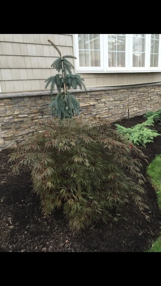 Top-rated yard cleanup service for homes across Dix Hills, NY - Prianti Farms, Inc.