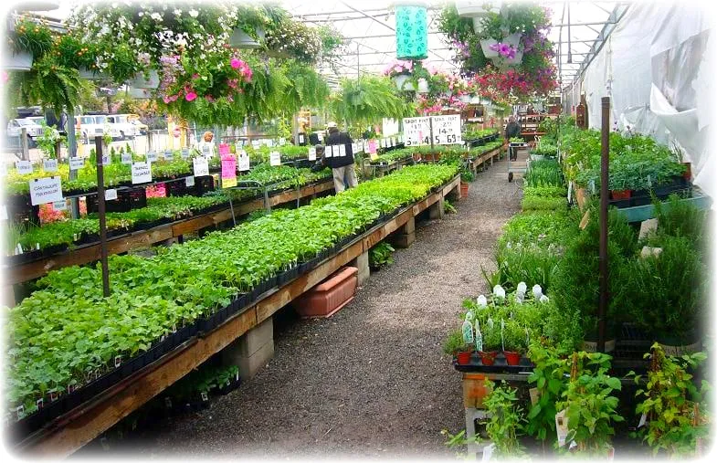 Local landscaping services in Dix Hills, NY - Prianti Farms, Inc.