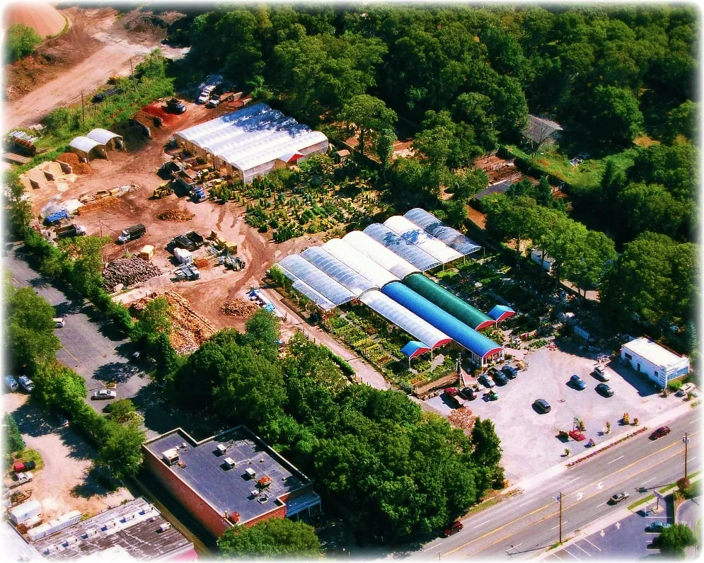 Local landscape design for residential properties in Dix Hills, NY by Prianti Farms, Inc.