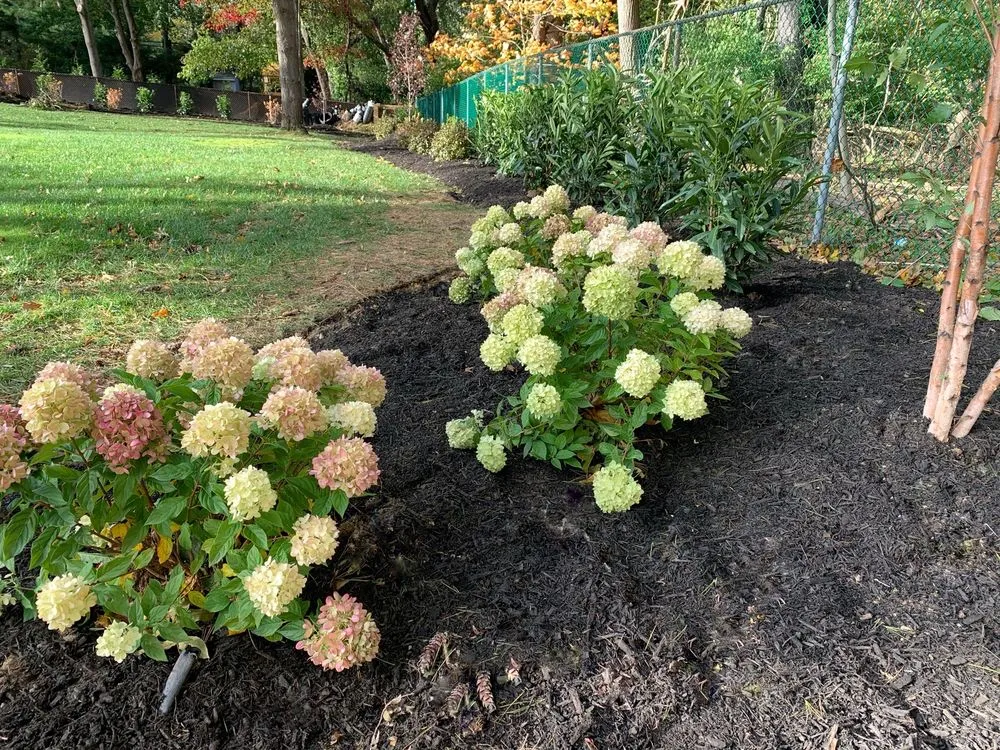 Custom yard cleanup service experts serving Dix Hills, NY - Prianti Farms, Inc.