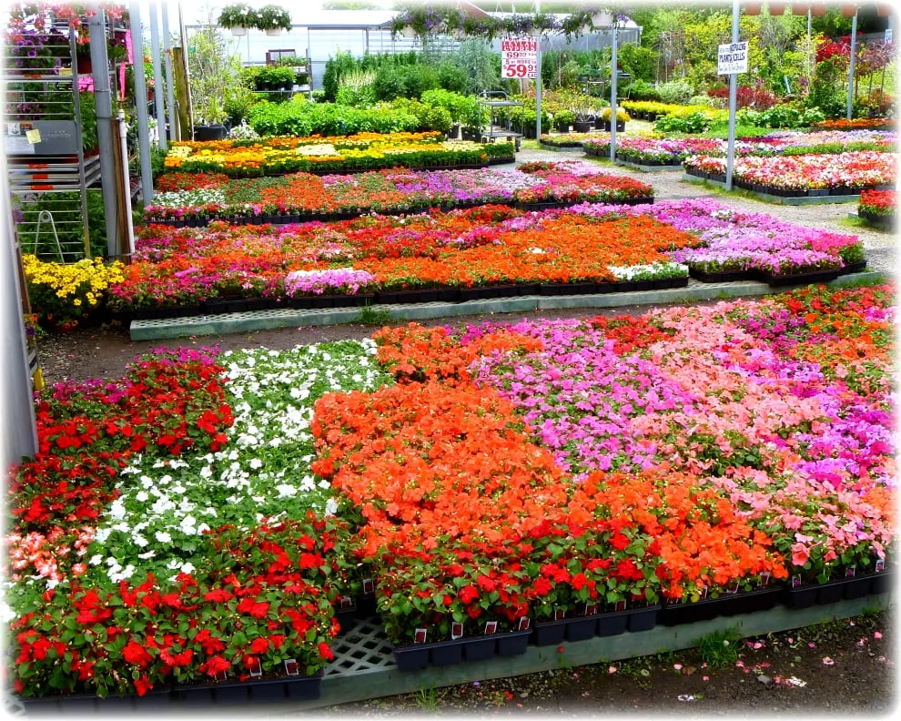 Professional landscaping services in Dix Hills, NY - Prianti Farms, Inc.