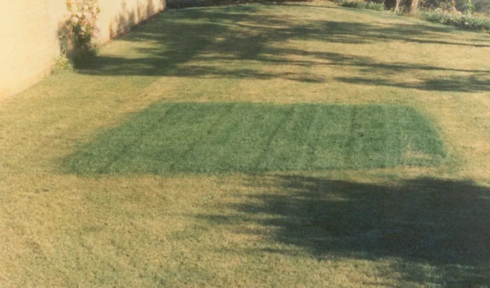 Top-rated landscape installation in Punta Gorda, FL by Price Family Lawncare