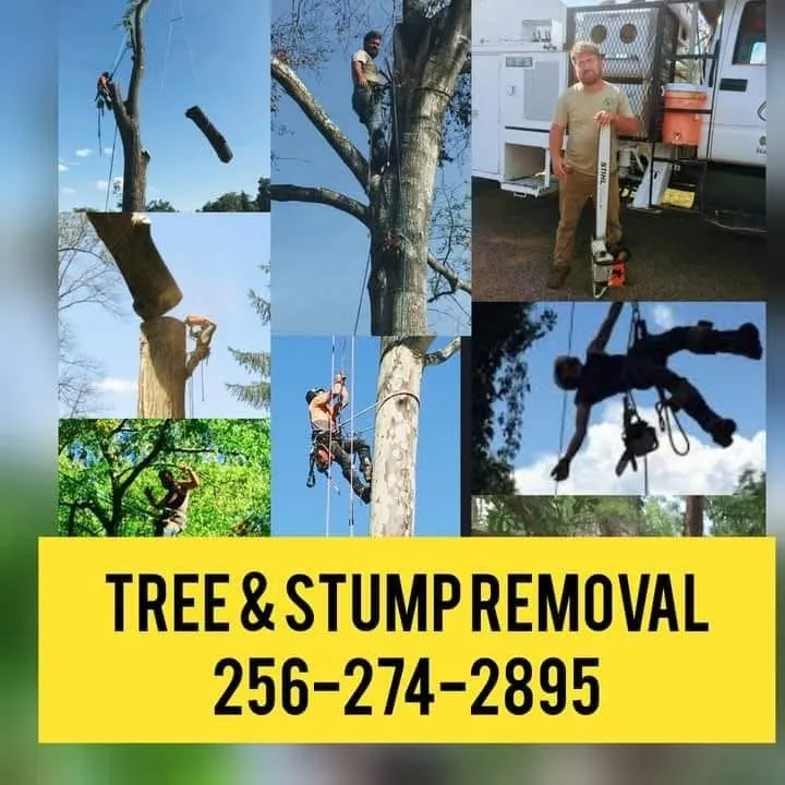 Local lawn mowing service experts serving Falkville, AL - Price Is Right Tree & Landscape Care