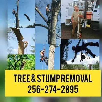 Price Is Right Tree & Landscape Care