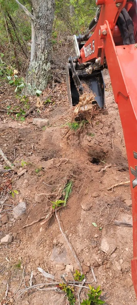 Local lawn mowing service in Charlottesville, VA by Price Landscape Management