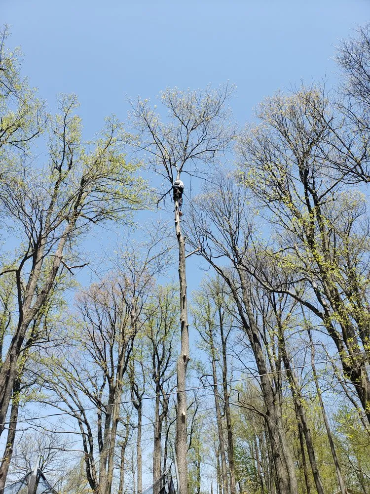 Affordable outdoor landscaping in Charlottesville, VA - Price Landscape Management