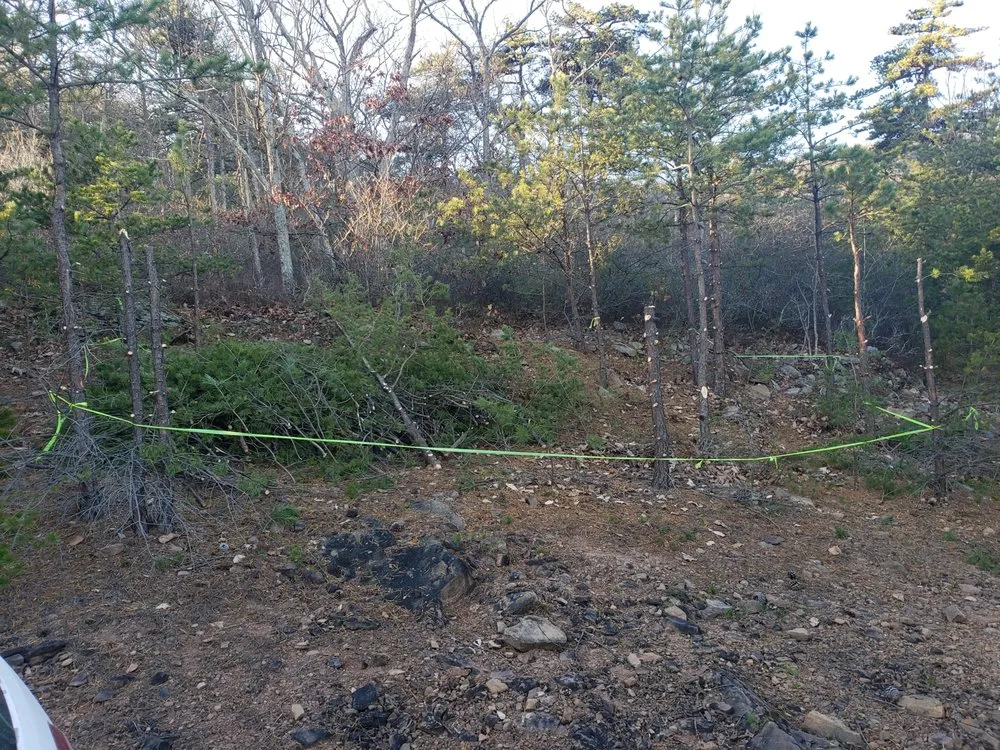 Affordable residential landscaping near you in Charlottesville, VA by Price Landscape Management