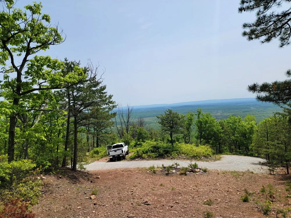 Professional lawn mowing service for residential properties across Charlottesville, VA - Price Landscape Management