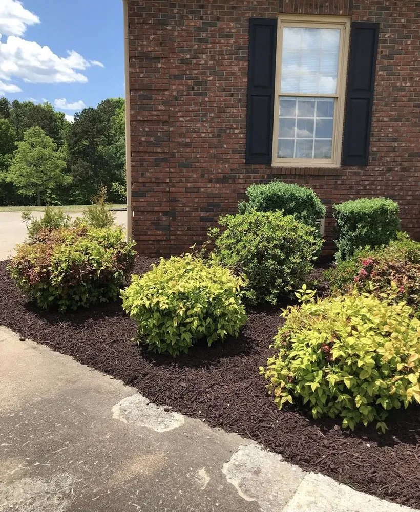 Expert landscape installation for beautiful yards in Williamston, SC by Price Landscaping
