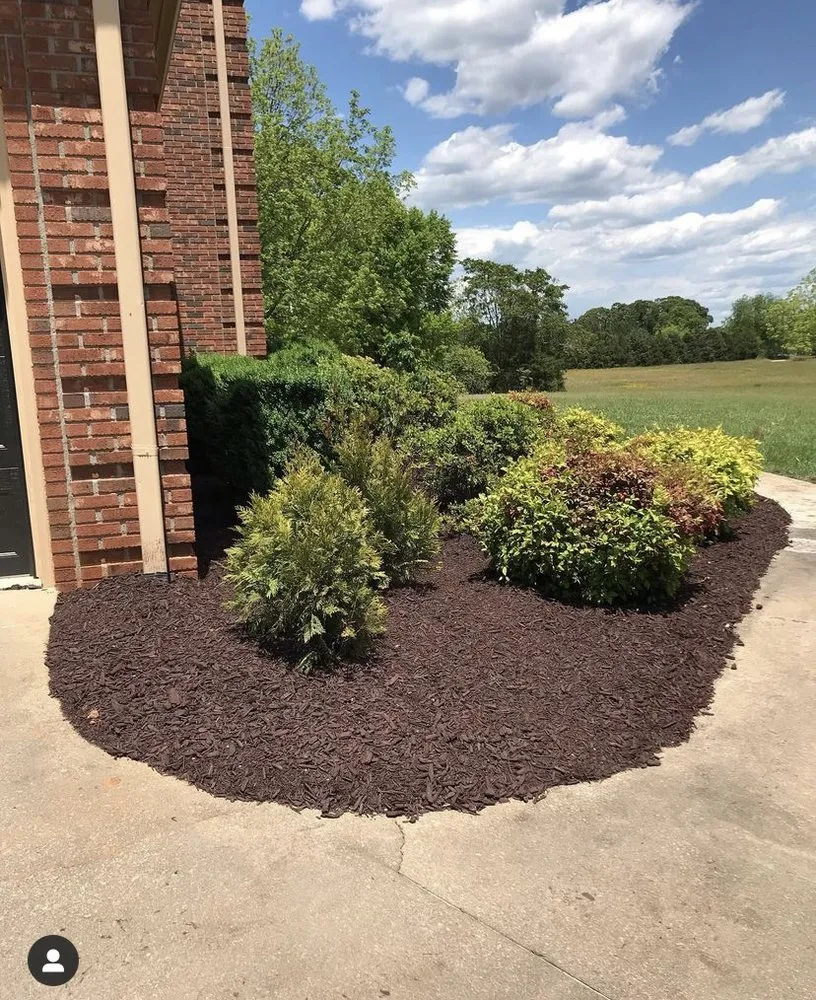 Top-rated landscaping services for beautiful yards in Williamston, SC by Price Landscaping