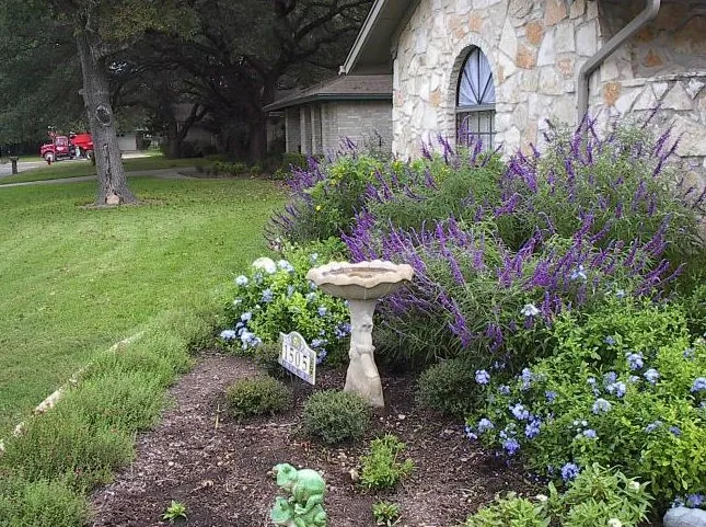 Professional outdoor landscaping in Round Rock, TX by Price Lawn & Landscape