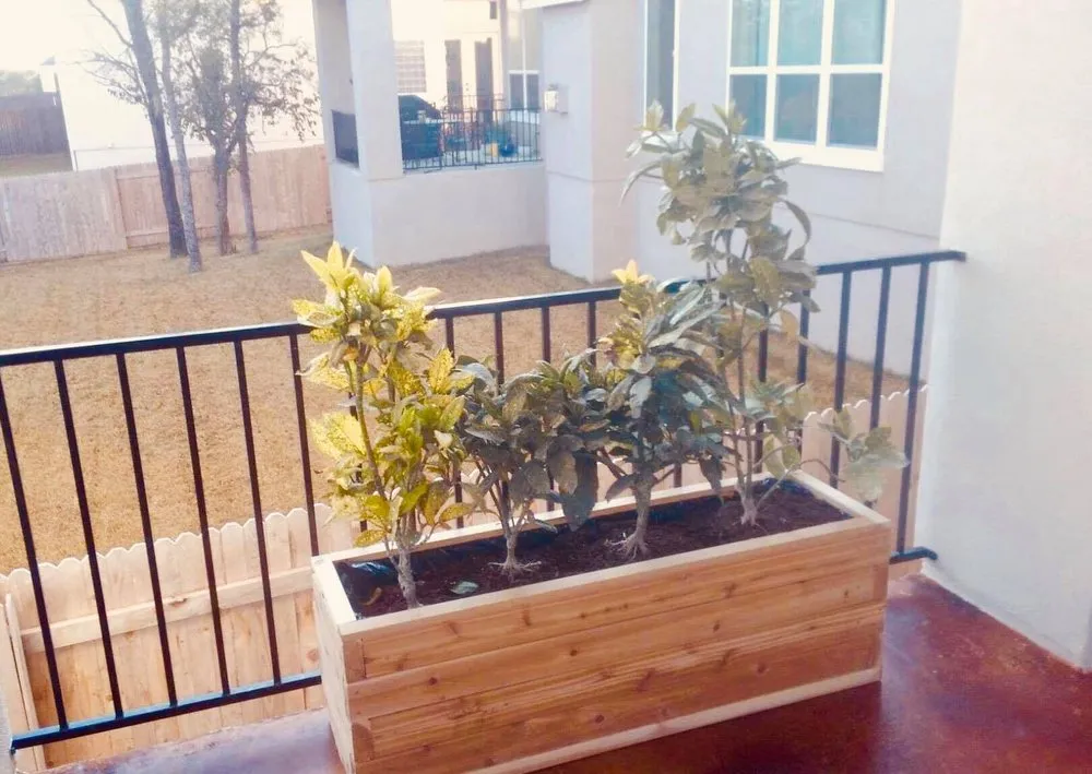 Local residential landscaping in Round Rock, TX by Price Lawn & Landscape