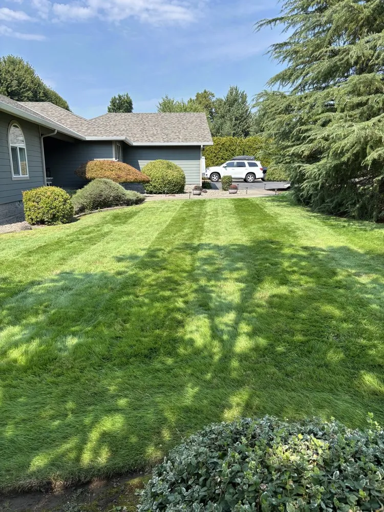 Trusted yard cleanup service for year-round maintenance across Grants Pass, OR - Price Lawn Care