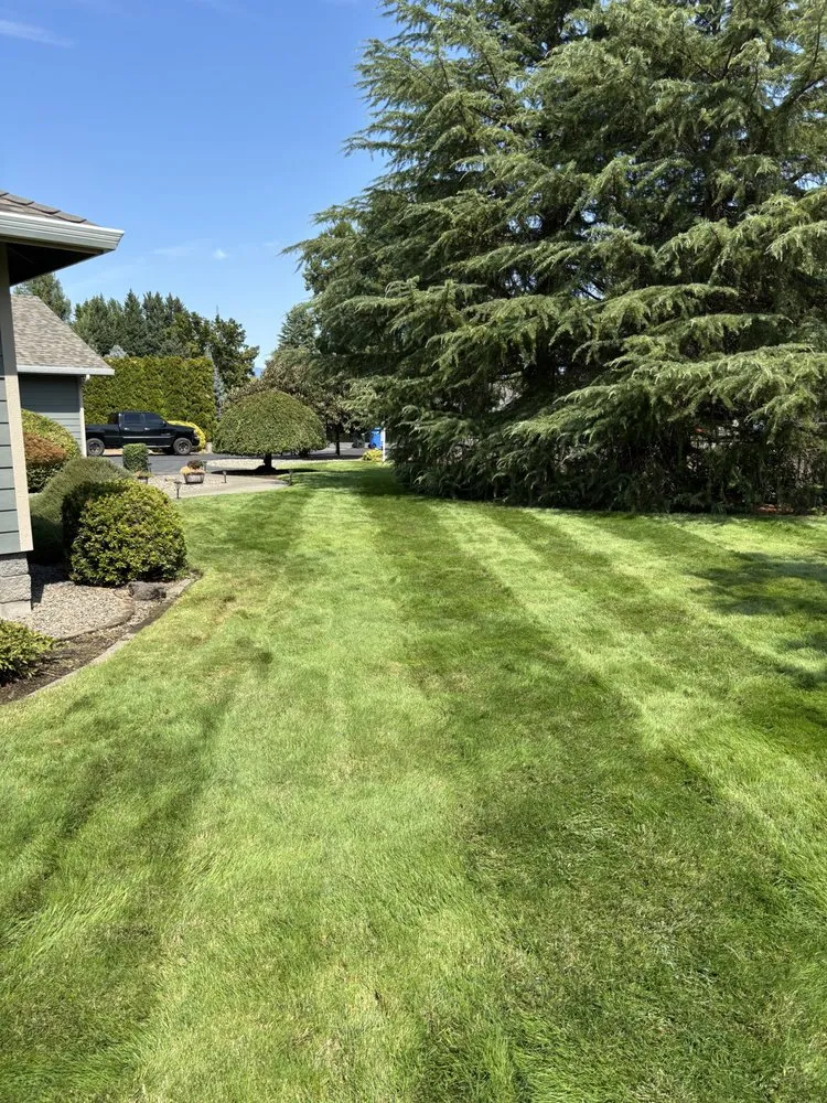 Reliable residential landscaping in Grants Pass, OR by Price Lawn Care