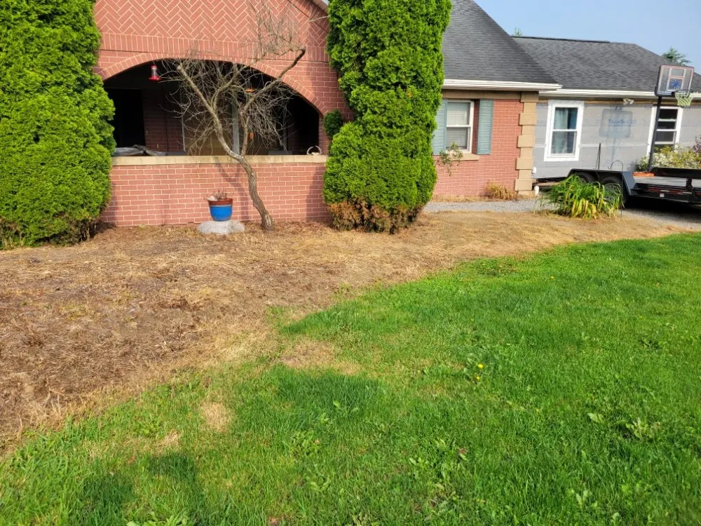 Top-rated landscape design in Union City, PA - Price Point Lawn Care and Landscaping