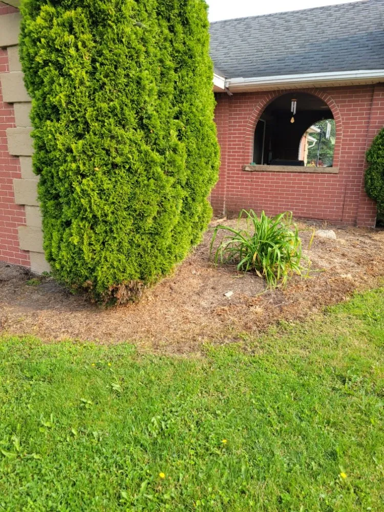 Professional landscape design for homes in Union City, PA by Price Point Lawn Care and Landscaping