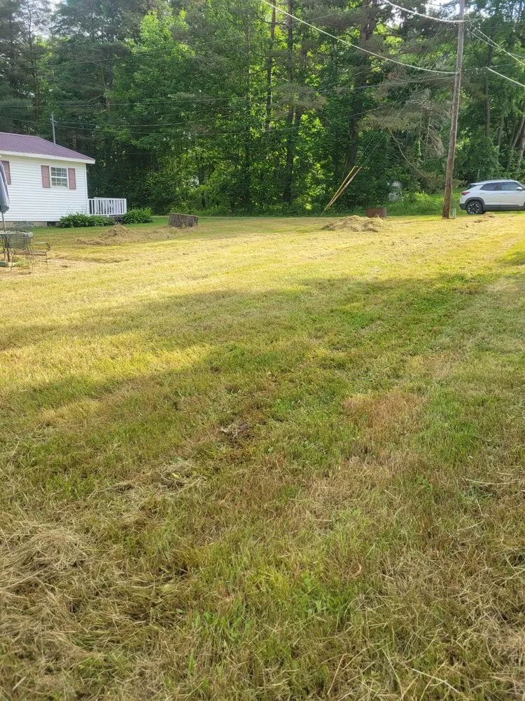 Top-rated residential landscaping with custom design in Union City, PA by Price Point Lawn Care and Landscaping