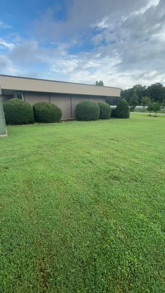 Professional landscaping services in Greer, SC by Price Pro Services