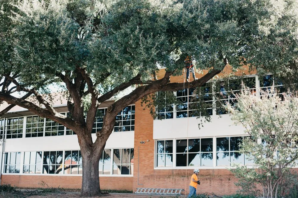 Trusted residential landscaping in Haslet, TX by Price Right Professional Landscaping & Tree Service