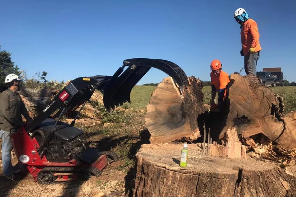 Expert outdoor landscaping in Haslet, TX - Price Right Professional Landscaping & Tree Service