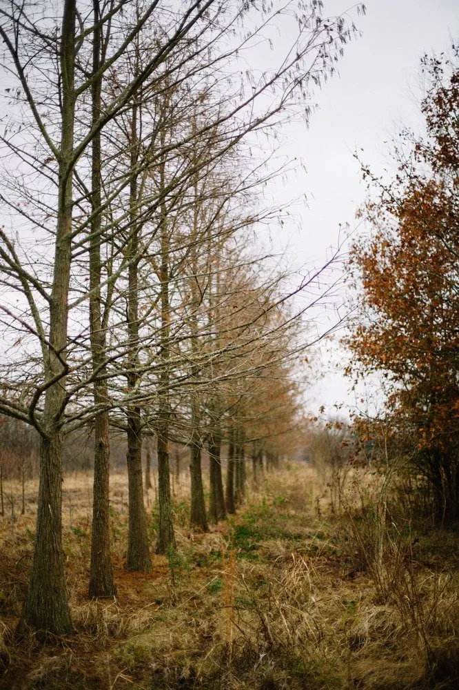 Reliable yard cleanup service in Haslet, TX - Price Right Professional Landscaping & Tree Service