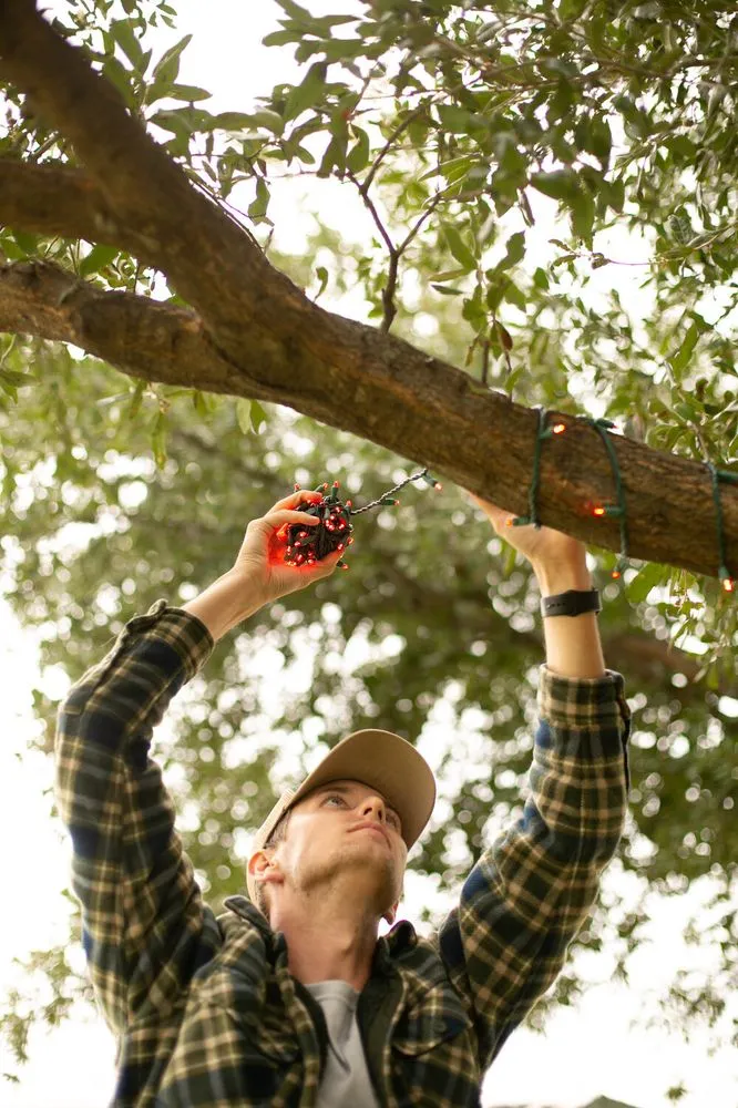 Top-rated landscape installation experts serving Haslet, TX - Price Right Professional Landscaping & Tree Service