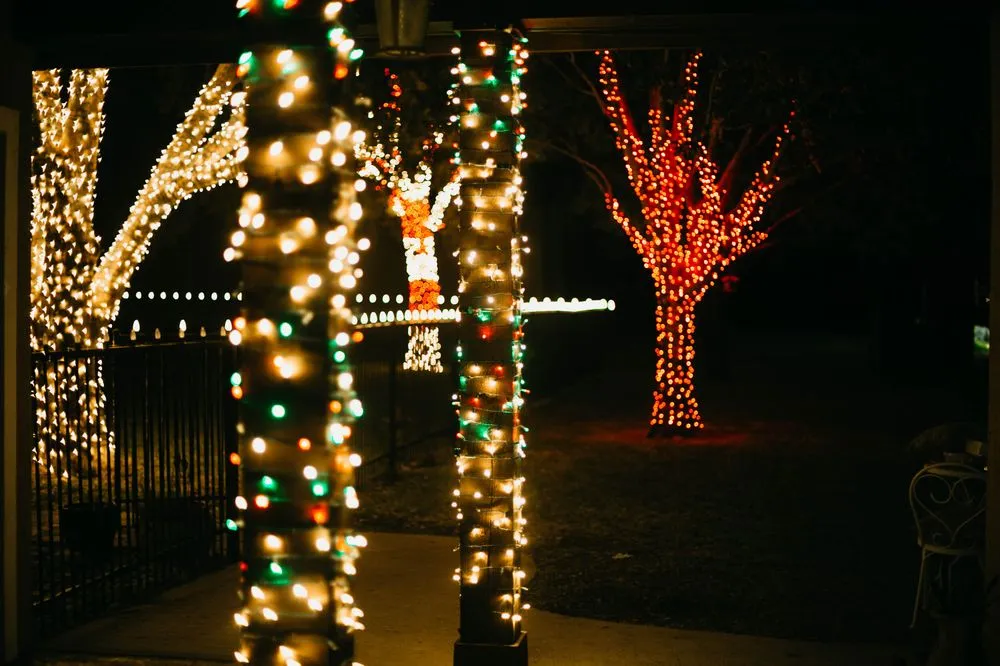 Trusted yard cleanup service experts serving Haslet, TX - Price Right Professional Landscaping & Tree Service