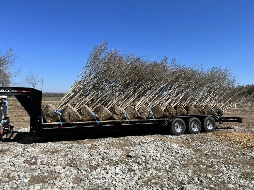 Custom lawn care service for homes in Haslet, TX by Price Right Professional Landscaping & Tree Service