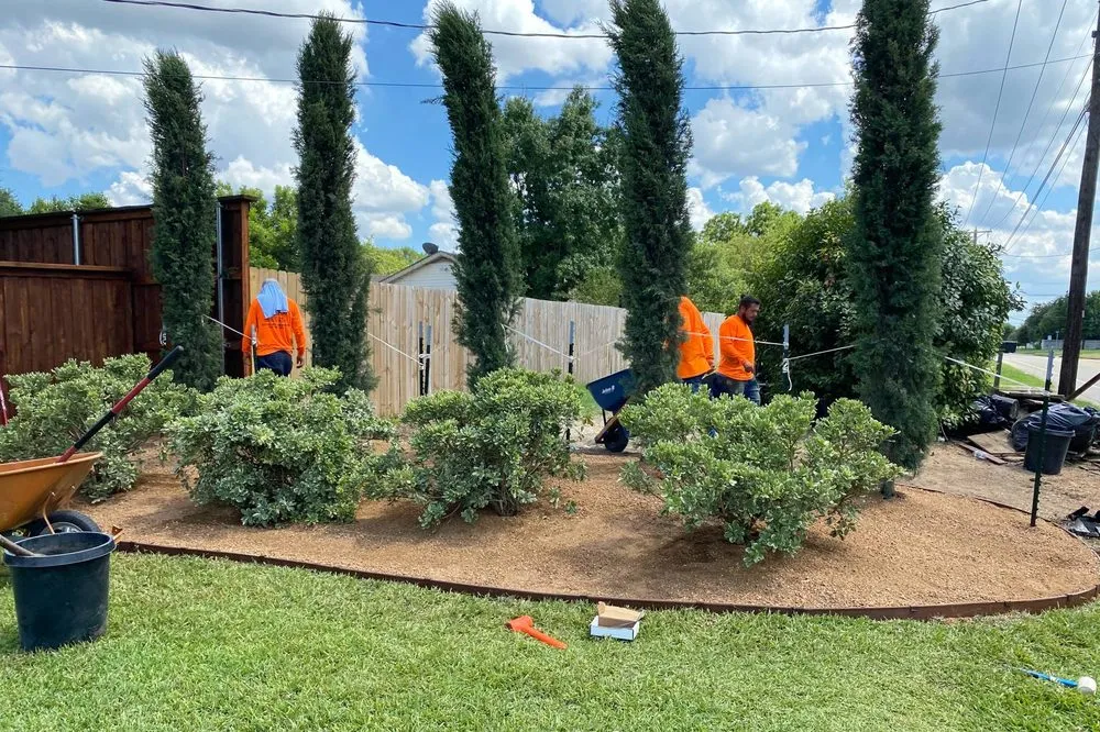 Expert garden landscaping for year-round maintenance in Haslet, TX by Price Right Professional Landscaping & Tree Service