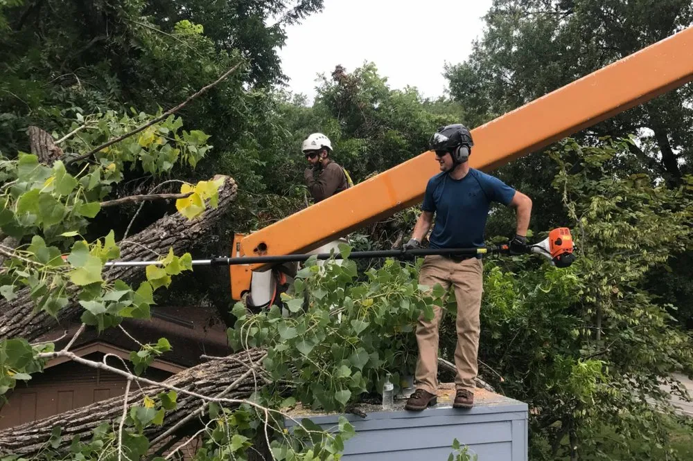 Affordable landscaping services experts serving Haslet, TX - Price Right Professional Landscaping & Tree Service