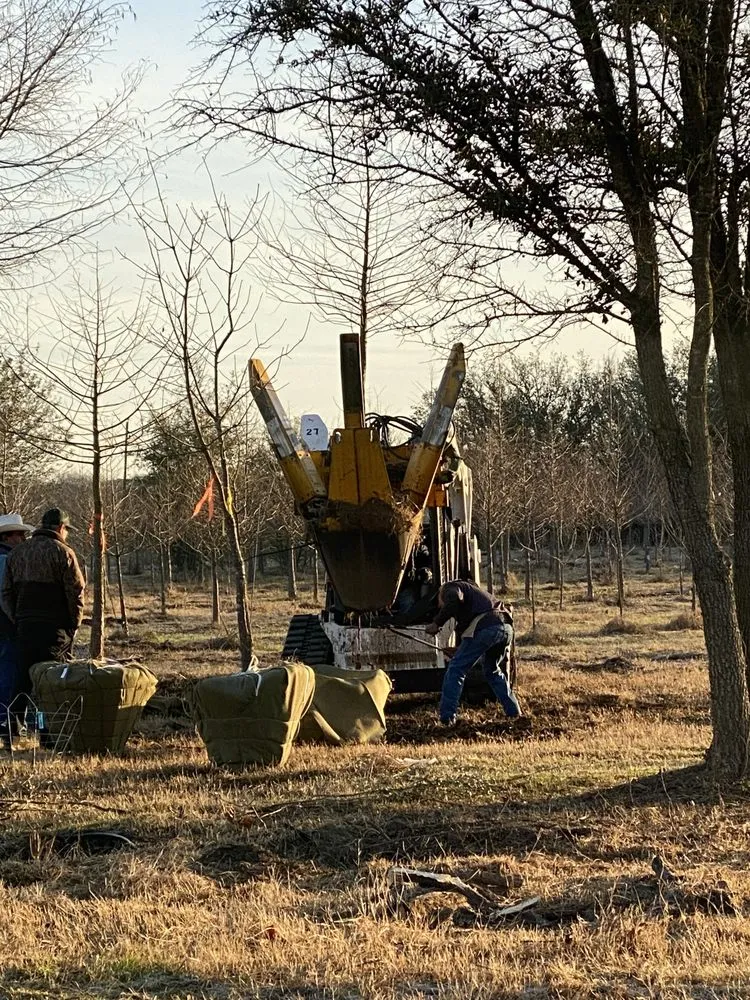 Trusted residential landscaping in Haslet, TX by Price Right Professional Landscaping & Tree Service