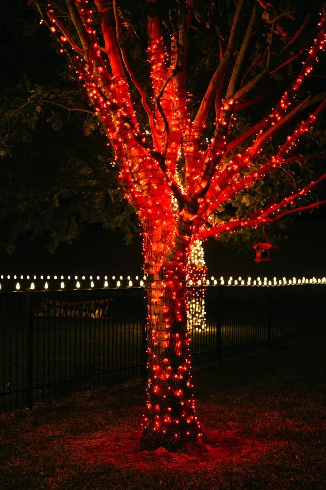 Professional landscape installation in Haslet, TX by Price Right Professional Landscaping & Tree Service