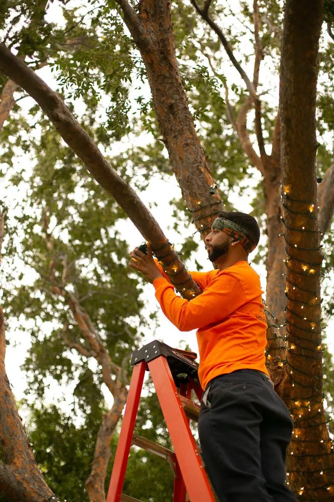 Expert landscape design experts serving Haslet, TX - Price Right Professional Landscaping & Tree Service