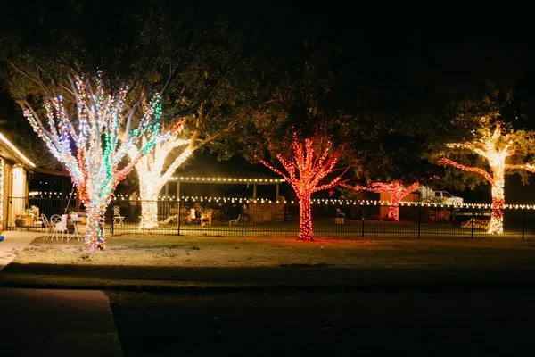 Price Right Professional Landscaping & Tree Service