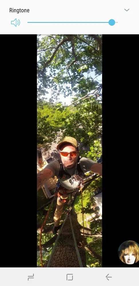 Affordable lawn mowing service in Nashville, TN - Price Tree Care